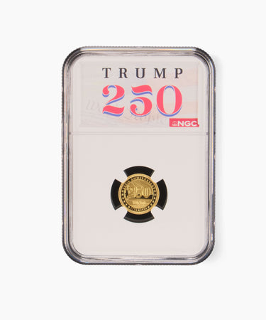 1/10th oz PF70 President Trump "We The People" Gold Medallion